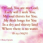 Early Will I Seek You