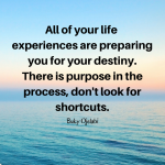 There Is Purpose In The Process